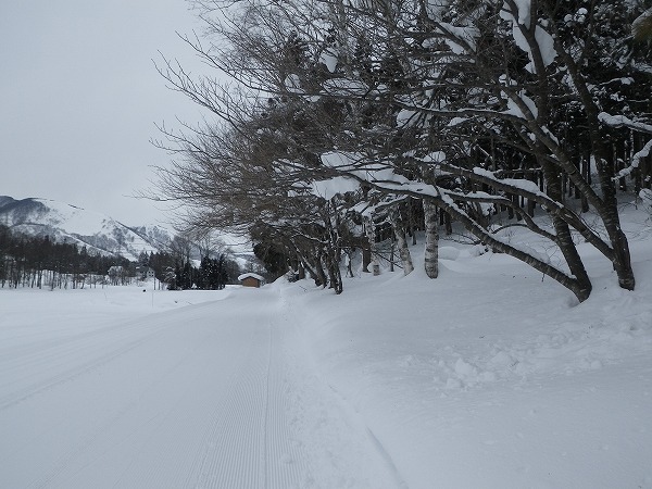 雪道散歩